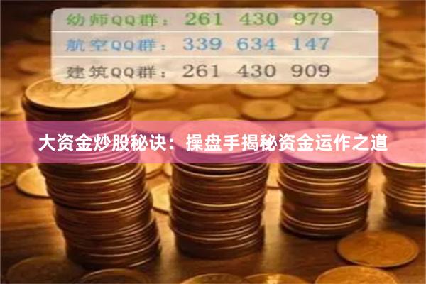 大资金炒股秘诀:操盘手揭秘资金运作之道