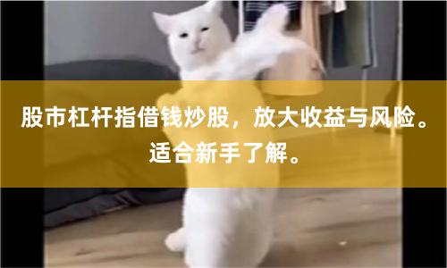 股市杠杆指借钱炒股，放大收益与风险。适合新手了解。
