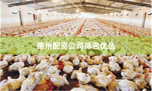 德州配资公司排名优选